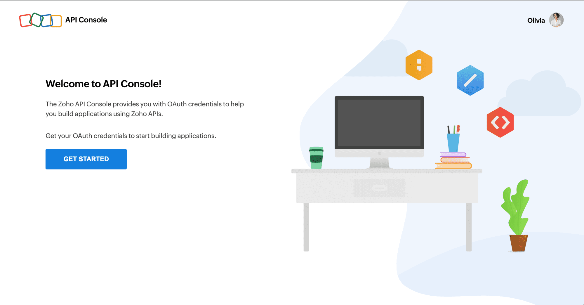 API Console