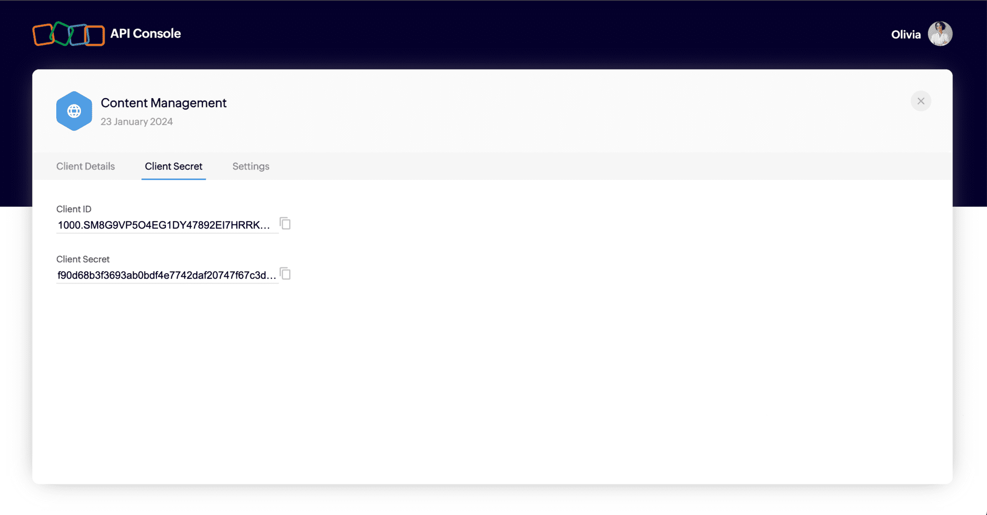 API Console
